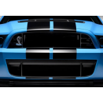 Ford Grille du bas 2010-2014 SHELBY GT500